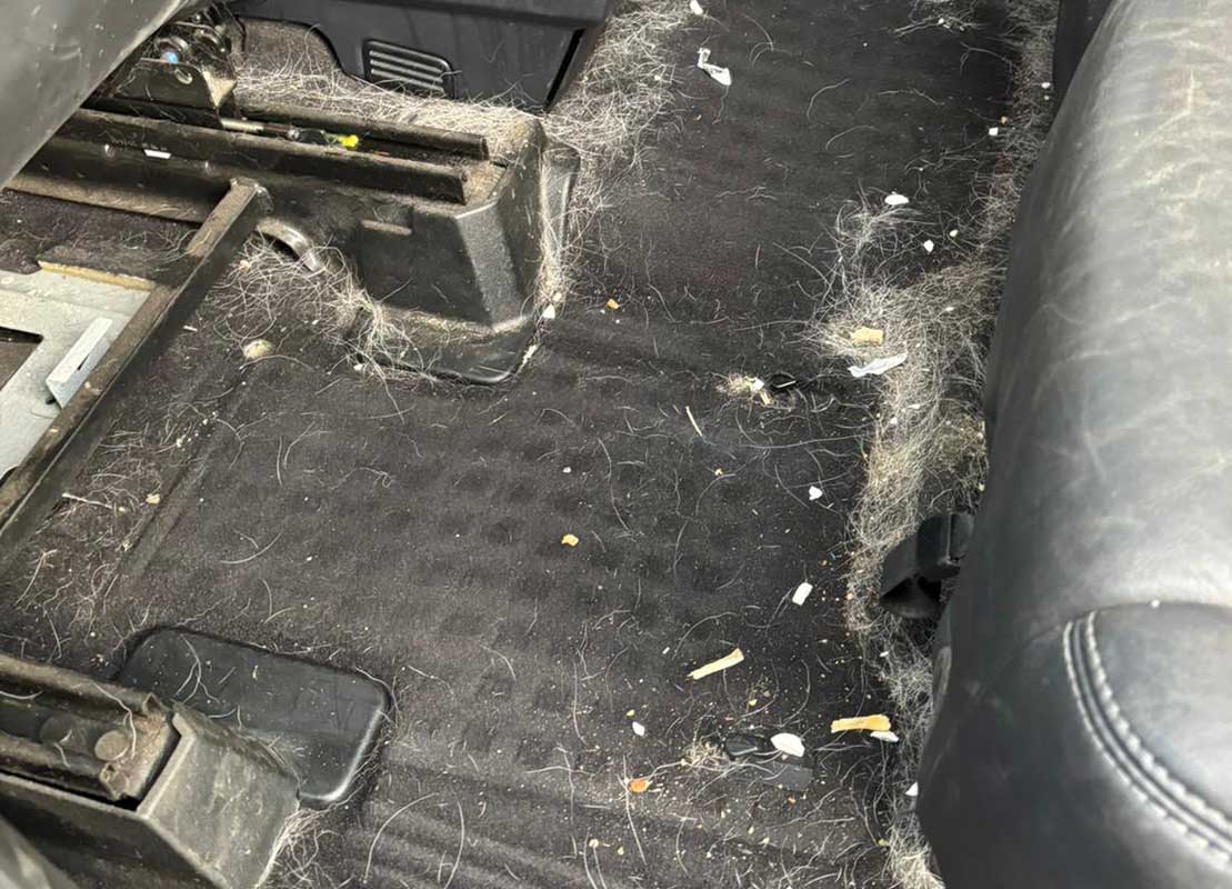 Discovery Interior Before