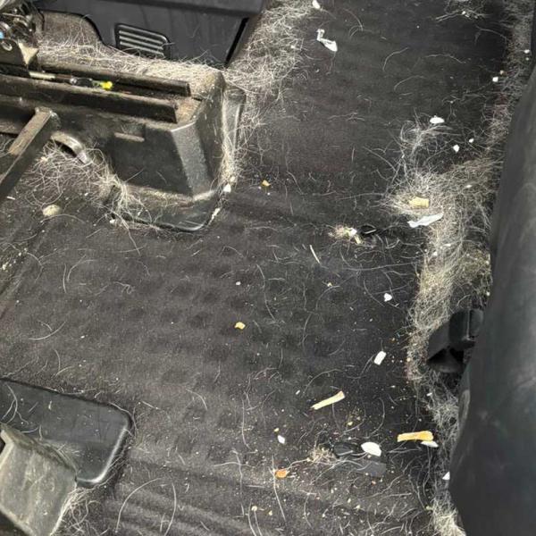 Discovery Interior Before