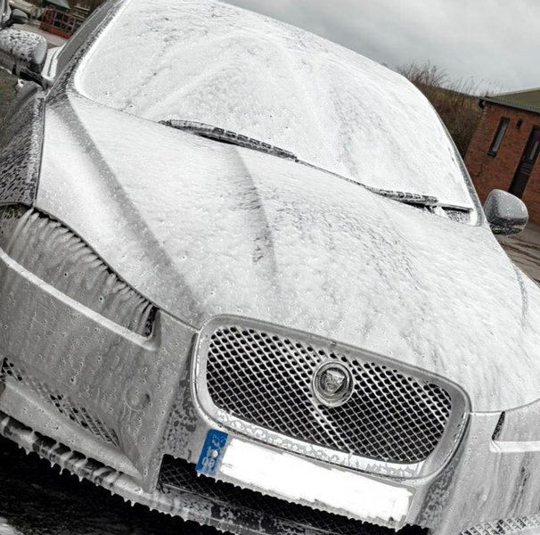 Jaguar External Cleaning
